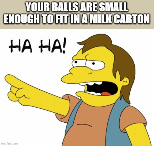 HA HA | YOUR BALLS ARE SMALL ENOUGH TO FIT IN A MILK CARTON | image tagged in ha ha | made w/ Imgflip meme maker