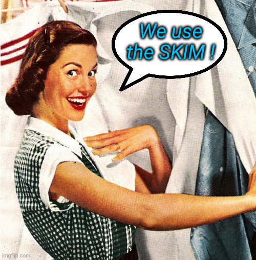 California $2B Transit Deficit | We use the SKIM ! | image tagged in vintage laundry woman,political meme,politics,funny memes,funny | made w/ Imgflip meme maker