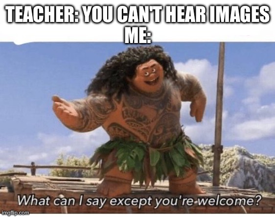 Real | TEACHER: YOU CAN'T HEAR IMAGES
ME: | image tagged in what can i say except you're welcome | made w/ Imgflip meme maker