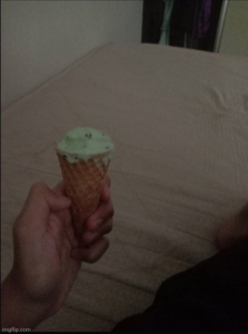 BanbodiFanOfficial leak lol(BFO:Dude its ice cream mint choco chip, because i was hungry) | made w/ Imgflip meme maker