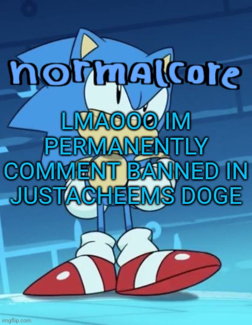 Random sonic template | LMAOOO IM PERMANENTLY COMMENT BANNED IN JUSTACHEEMS DOGE | image tagged in random sonic template | made w/ Imgflip meme maker