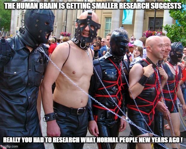 Gay Pride | THE HUMAN BRAIN IS GETTING SMALLER RESEARCH SUGGESTS; REALLY YOU HAD TO RESEARCH WHAT NORMAL PEOPLE NEW YEARS AGO ! | image tagged in gay pride | made w/ Imgflip meme maker