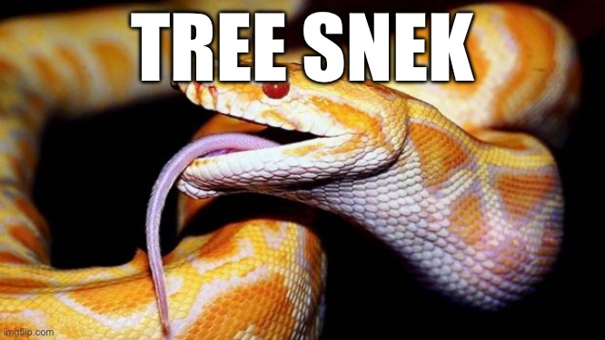 high af snake | TREE SNEK | image tagged in high af snake | made w/ Imgflip meme maker