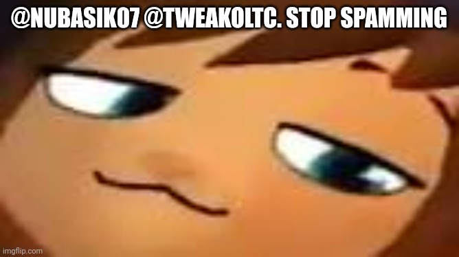 smug hat kid.mp4 | @NUBASIK07 @TWEAKOLTC. STOP SPAMMING | image tagged in smug hat kid mp4 | made w/ Imgflip meme maker