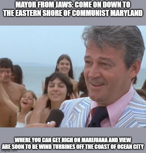 State of Idiocy in  maryland | MAYOR FROM JAWS: COME ON DOWN TO THE EASTERN SHORE OF COMMUNIST MARYLAND; WHERE YOU CAN GET HIGH ON MARIJUANA AND VIEW ARE SOON TO BE WIND TURBINES OFF THE COAST OF OCEAN CITY | image tagged in jaws mayor,governor,communist,climate change,democrats | made w/ Imgflip meme maker