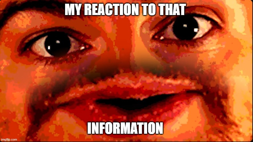 Brother what | MY REACTION TO THAT; INFORMATION | image tagged in memes | made w/ Imgflip meme maker