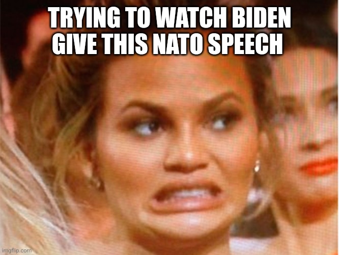 TRYING TO WATCH BIDEN GIVE THIS NATO SPEECH | image tagged in funny memes | made w/ Imgflip meme maker