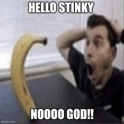 Ohio banana | HELLO STINKY; NOOOO GOD!! | image tagged in ohio banana | made w/ Imgflip meme maker