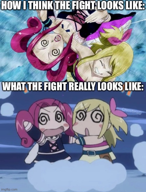 Fairy Tail Fight Meme | HOW I THINK THE FIGHT LOOKS LIKE:; WHAT THE FIGHT REALLY LOOKS LIKE:; ChristinaO | image tagged in memes,fairy tail,fairy tail meme,fairy tail memes,lucy heartfilia,anime memes | made w/ Imgflip meme maker