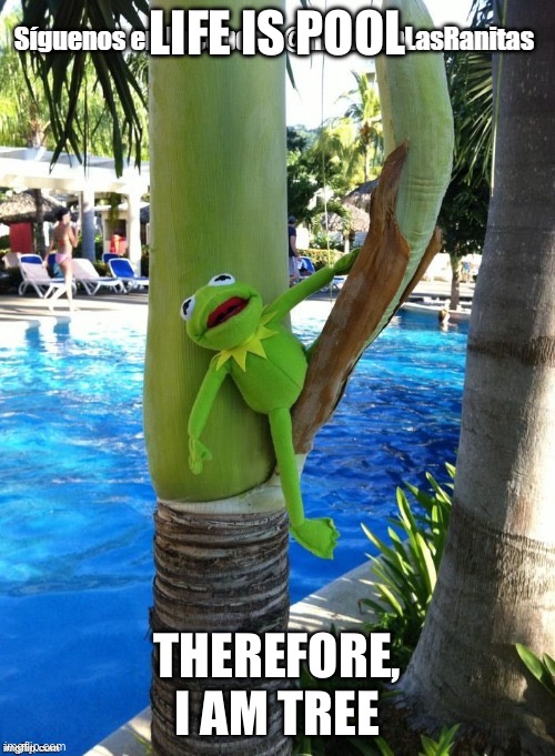 Wise words from Kermit. | LIFE IS POOL; THEREFORE, I AM TREE | image tagged in kermit | made w/ Imgflip meme maker