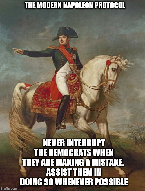 Modern Napoleon Protocol | THE MODERN NAPOLEON PROTOCOL; NEVER INTERRUPT THE DEMOCRATS WHEN THEY ARE MAKING A MISTAKE. 
ASSIST THEM IN DOING SO WHENEVER POSSIBLE | image tagged in napoleon,political meme | made w/ Imgflip meme maker