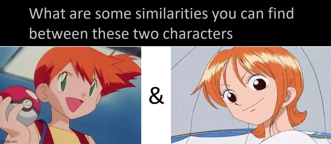 Misty and Nami similarities | image tagged in similarities between these two character,misty,nami,anime,orange hair,hotheads | made w/ Imgflip meme maker