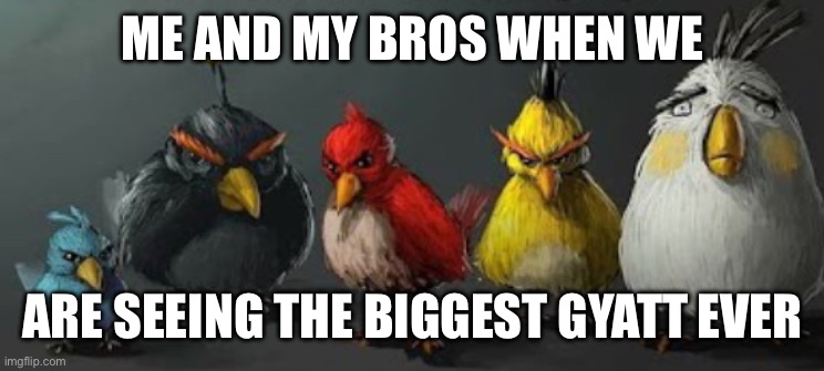 They | ME AND MY BROS WHEN WE; ARE SEEING THE BIGGEST GYATT EVER | image tagged in they | made w/ Imgflip meme maker