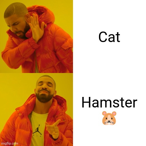 Hamster | Cat; Hamster 🐹 | image tagged in memes,drake hotline bling | made w/ Imgflip meme maker