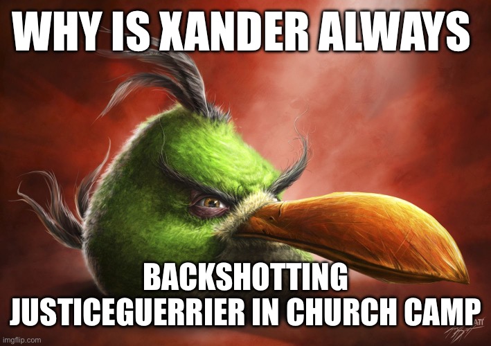 Realistic Angry Bird | WHY IS XANDER ALWAYS; BACKSHOTTING JUSTICEGUERRIER IN CHURCH CAMP | image tagged in realistic angry bird | made w/ Imgflip meme maker