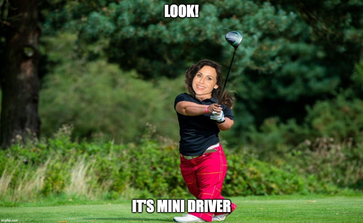 Just Enough Time for a Short Joke | LOOK! IT'S MINI DRIVER | image tagged in minnie driver | made w/ Imgflip meme maker