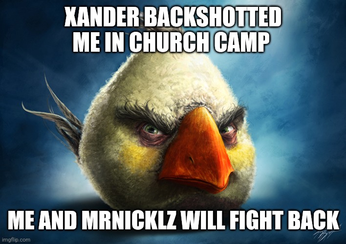 Realistic Matilda | XANDER BACKSHOTTED ME IN CHURCH CAMP; ME AND MRNICKLZ WILL FIGHT BACK | image tagged in realistic matilda | made w/ Imgflip meme maker