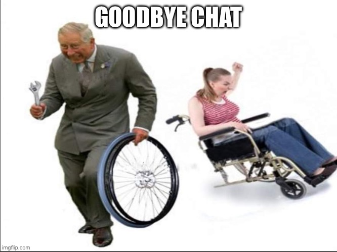 What is she gonna do, get up and walk to her parents? | GOODBYE CHAT | image tagged in stolen bye | made w/ Imgflip meme maker