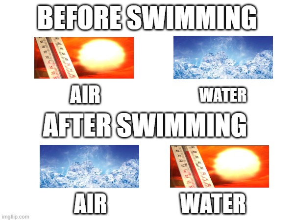 BEFORE SWIMMING; AIR; WATER; AFTER SWIMMING; AIR                 WATER | made w/ Imgflip meme maker