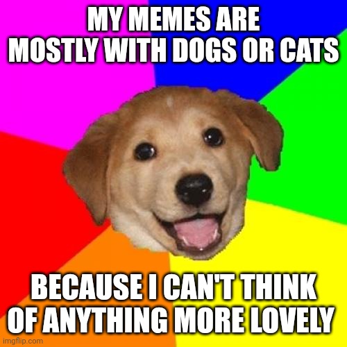 Advice Dog Meme | MY MEMES ARE MOSTLY WITH DOGS OR CATS; BECAUSE I CAN'T THINK OF ANYTHING MORE LOVELY | image tagged in memes,advice dog | made w/ Imgflip meme maker