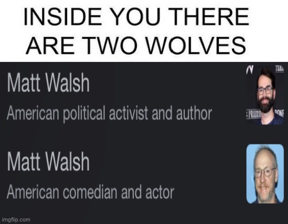 There are two wolves inside you | image tagged in there are two wolves inside you | made w/ Imgflip meme maker