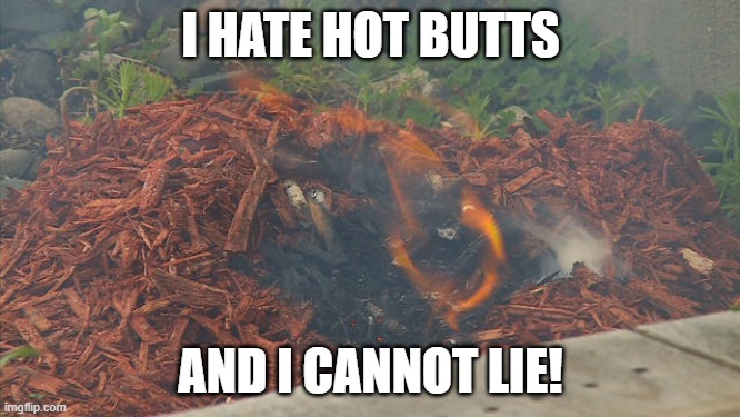 Cigarette | I HATE HOT BUTTS; AND I CANNOT LIE! | image tagged in cigarette | made w/ Imgflip meme maker