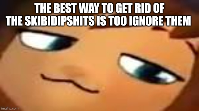 Aka the BlueCorn approach  | THE BEST WAY TO GET RID OF THE SKIBIDIPSHITS IS TOO IGNORE THEM | image tagged in smug hat kid mp4 | made w/ Imgflip meme maker