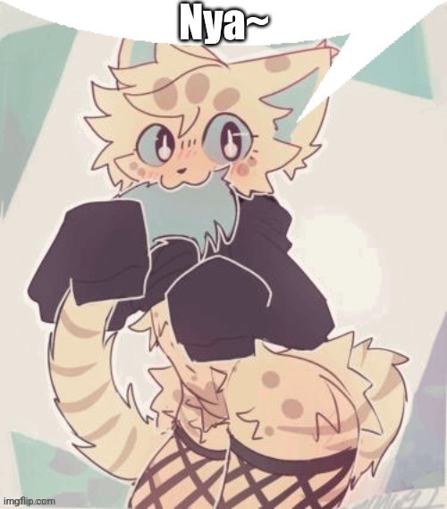 furry speechbubble | Nya~ | image tagged in furry speechbubble | made w/ Imgflip meme maker