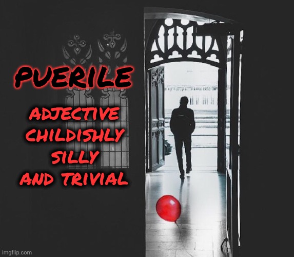 puerile | puerile; adjective
childishly silly and trivial | image tagged in leave childish things behind,puerile,trivial,childish,memes | made w/ Imgflip meme maker