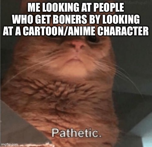 Pathetic Cat | ME LOOKING AT PEOPLE WHO GET BONERS BY LOOKING AT A CARTOON/ANIME CHARACTER | image tagged in pathetic cat | made w/ Imgflip meme maker