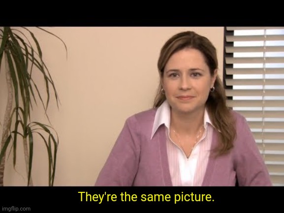 They're the same picture | They're the same picture. | image tagged in they're the same picture | made w/ Imgflip meme maker