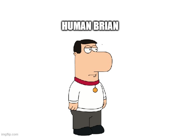 omg its human Brian! | HUMAN BRIAN | image tagged in family guy | made w/ Imgflip meme maker