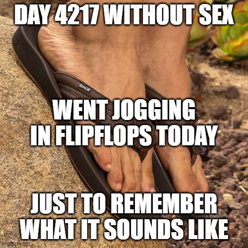 flipflops | DAY 4217 WITHOUT SEX; WENT JOGGING IN FLIPFLOPS TODAY; JUST TO REMEMBER WHAT IT SOUNDS LIKE | image tagged in remember | made w/ Imgflip meme maker