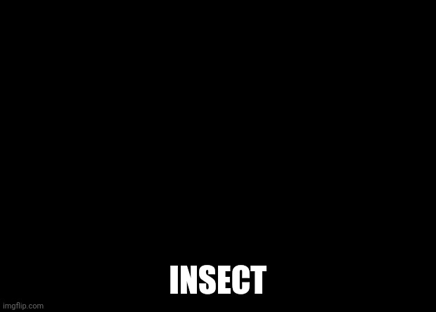 babay pointing up | INSECT | image tagged in babay pointing up | made w/ Imgflip meme maker
