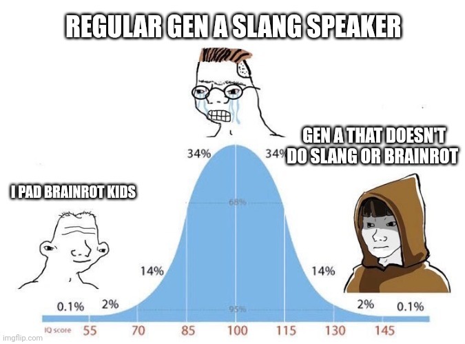 *sigh* Tako note: w | REGULAR GEN A SLANG SPEAKER; GEN A THAT DOESN'T DO SLANG OR BRAINROT; I PAD BRAINROT KIDS | image tagged in bell curve | made w/ Imgflip meme maker