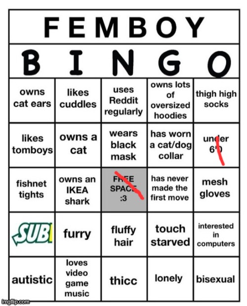 Femboy Bingo | image tagged in femboy bingo | made w/ Imgflip meme maker