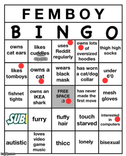 Femboy Bingo | from my pets | image tagged in femboy bingo | made w/ Imgflip meme maker