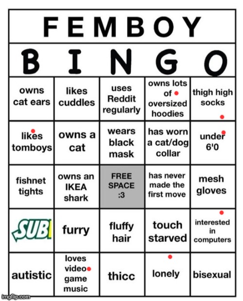 Femboy Bingo | image tagged in femboy bingo | made w/ Imgflip meme maker