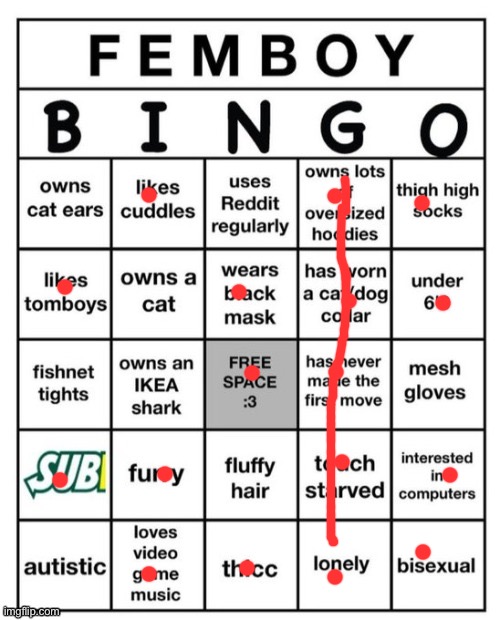 Femboy Bingo | image tagged in femboy bingo | made w/ Imgflip meme maker