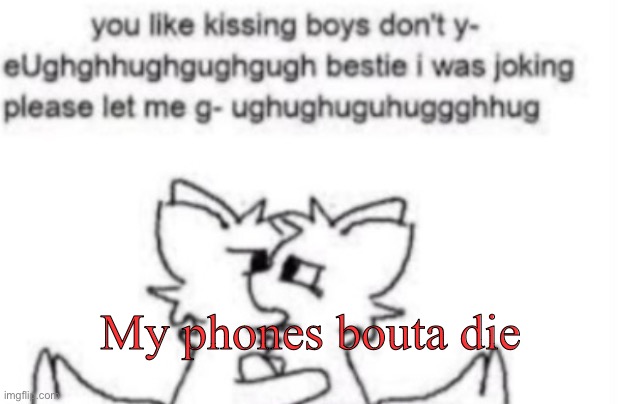 Boykisser | My phones bouta die | image tagged in boykisser | made w/ Imgflip meme maker
