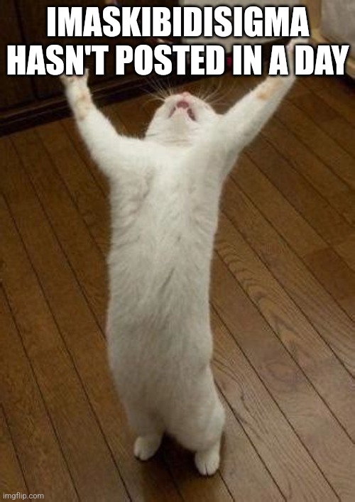 Hooray Cat | IMASKIBIDISIGMA HASN'T POSTED IN A DAY | image tagged in hooray cat | made w/ Imgflip meme maker