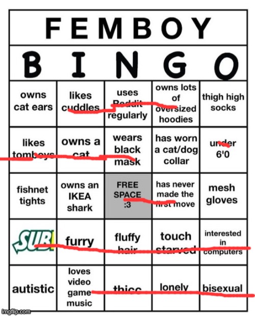 Femboy Bingo | image tagged in femboy bingo | made w/ Imgflip meme maker