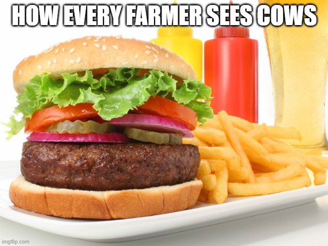 Hamburger  | HOW EVERY FARMER SEES COWS | image tagged in hamburger | made w/ Imgflip meme maker