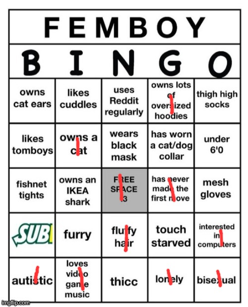 NOT A FOCKING DUMB FEMBOY WAHOOOOOOOO | image tagged in femboy bingo | made w/ Imgflip meme maker