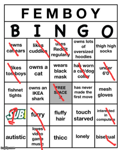 Femboy Bingo | image tagged in femboy bingo | made w/ Imgflip meme maker