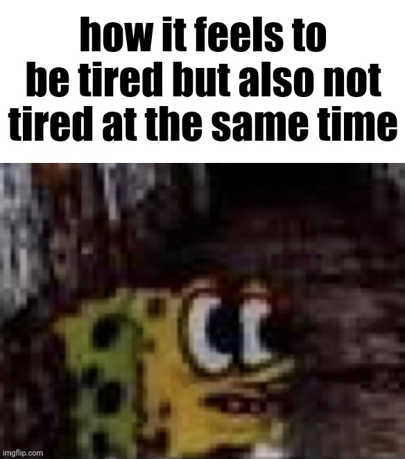 spunch bop trauma | how it feels to be tired but also not tired at the same time | image tagged in spunch bop trauma | made w/ Imgflip meme maker