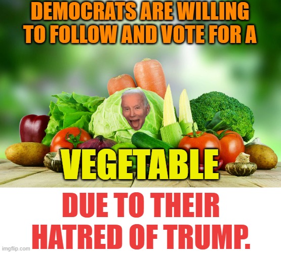 The TDS Of Panicking Democrats | DEMOCRATS ARE WILLING TO FOLLOW AND VOTE FOR A; VEGETABLE; DUE TO THEIR HATRED OF TRUMP. | image tagged in memes,politics,democrats,panic,joe biden,tds | made w/ Imgflip meme maker