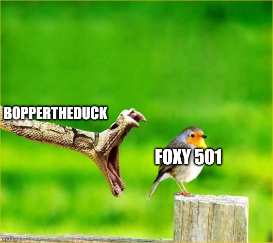 Snake Reality Bites | BOPPERTHEDUCK; FOXY 501 | image tagged in snake reality bites | made w/ Imgflip meme maker