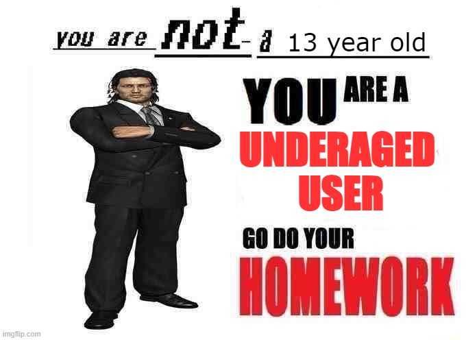 you are not a X | 13 year old UNDERAGED 
USER | image tagged in you are not a x | made w/ Imgflip meme maker