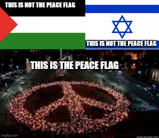 This is the peace symbol. | THIS IS NOT THE PEACE FLAG; THIS IS NOT THE PEACE FLAG; THIS IS THE PEACE FLAG | image tagged in palestine,israel,conflict,middle east,muslim,jew | made w/ Imgflip meme maker